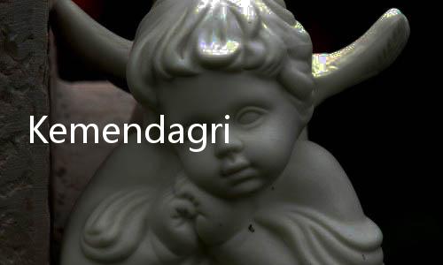 Kemendagri Ingin Pelantikan Pemenang Pilkada Serentak Dilakukan Serentak