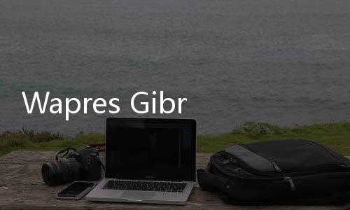 Wapres Gibran Serukan Pengembangan Hilirisasi Digital, Analis LPI Boni Hargens Beri Apresiasi